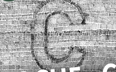 C | ©2011